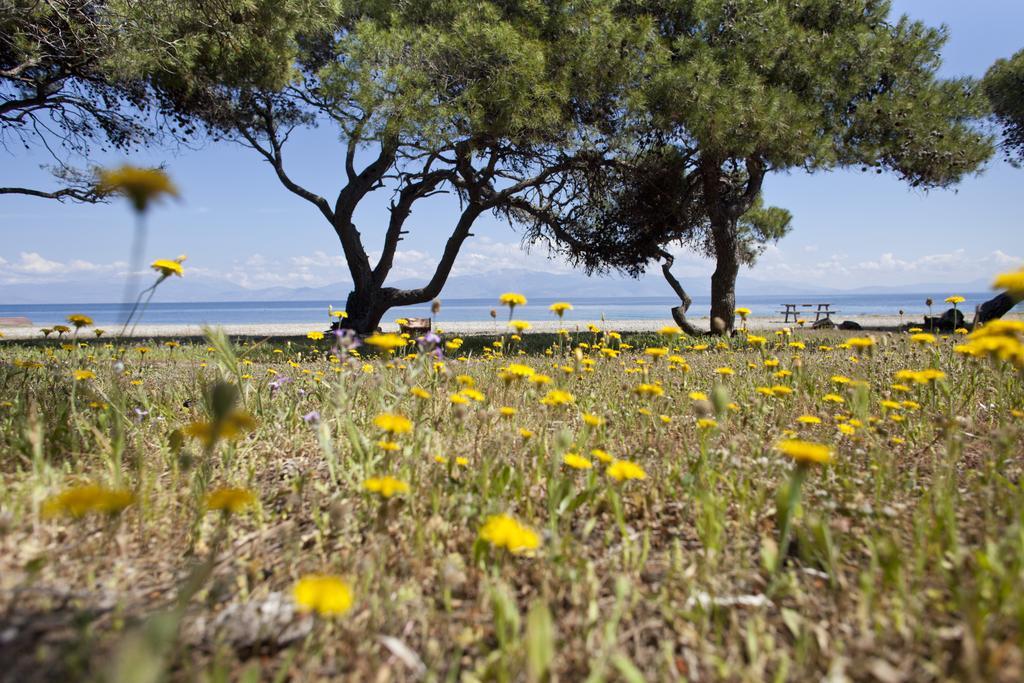 Daphne'S Club Hotel Apartments Xylokastro Bagian luar foto